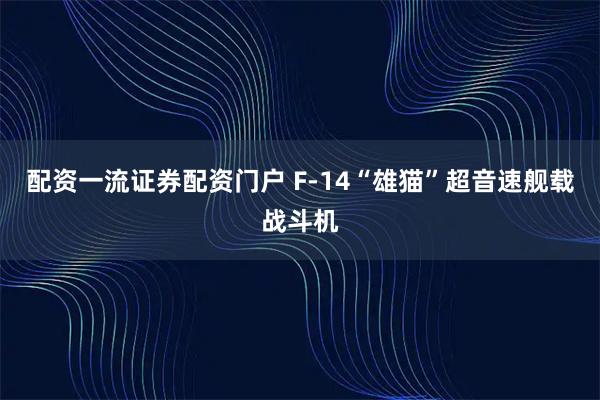 配资一流证券配资门户 F-14“雄猫”超音速舰载战斗机